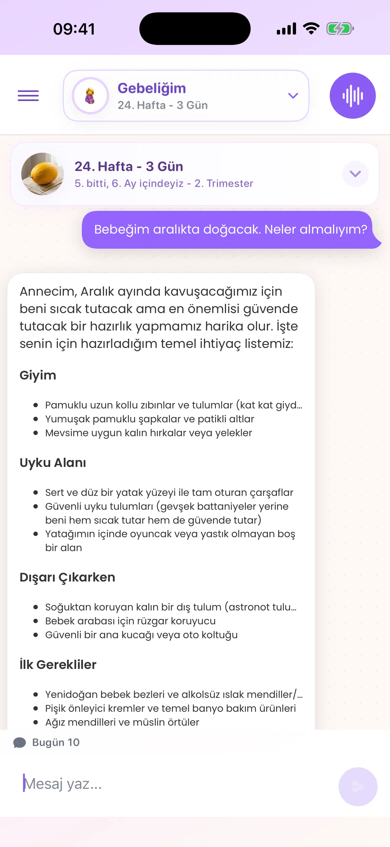 Yapılandırılmış hazırlık kontrol listesi içeren Mamalina sohbet yanıtı